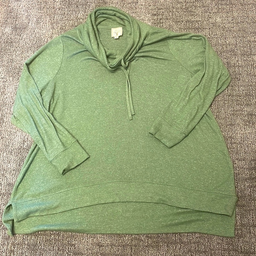 Colortree soft green cowl neck Tunic top Size 1X